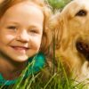 Muito além da amizade: conheça os benefícios da relação entre cães e crianças.