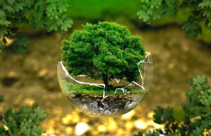 Licenciamento ambiental – qual sua importância?