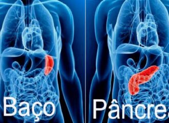 Órgãos: Baço e Pâncreas – Sintomas e sentimentos