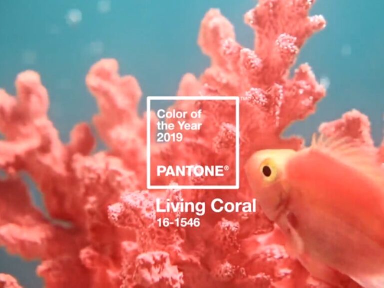 Pantone Living Coral - Cor do ano 2019