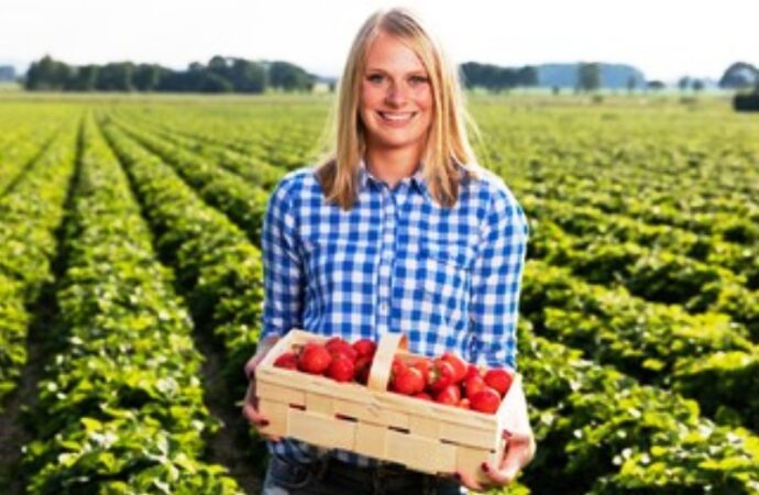 Mulheres no agronegócio, mudança de patamares