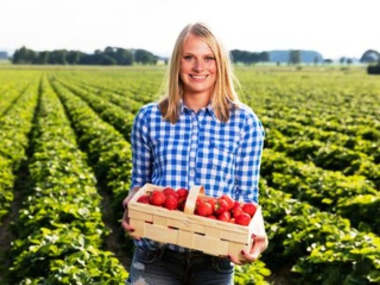 mulheres no agronegócio