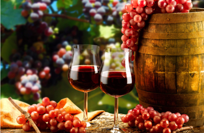Uvas e vinhos, algumas curiosidades e características