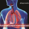 O significado do órgão pulmão (fei) na medicina tradicional chinesa