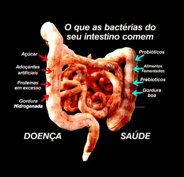 Distúrbios gastrointestinais