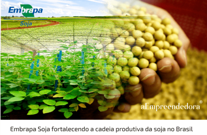 Embrapa Soja fortalecendo a cadeia produtiva da soja no Brasil