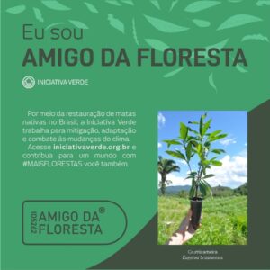 Amigo da Floresta