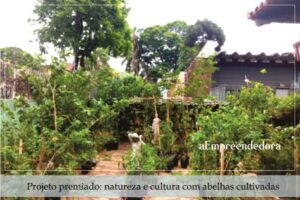 Projeto premiado - natureza e cultura com abelhas cultivadas - aE