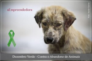 Dezembro Verde - Contra o Abandono de Animais