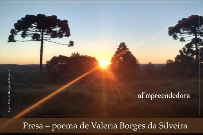 Presa - poema de Valeria Borges da Silveira