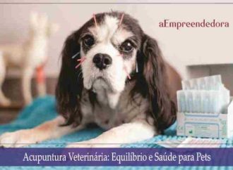 Acupuntura Veterinária: Equilíbrio e Saúde para Pets