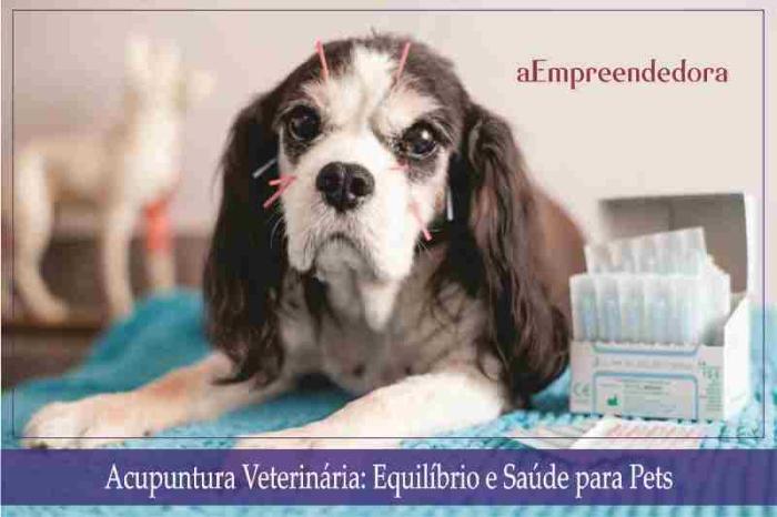 Acupuntura Veterinária - Equilíbrio e Saúde para Pets