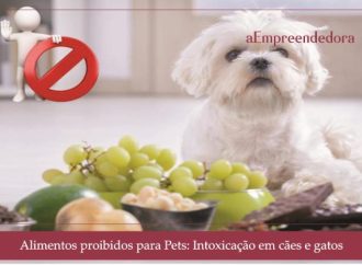 Alimentos proibidos para Pets: Intoxicação em cães e gatos