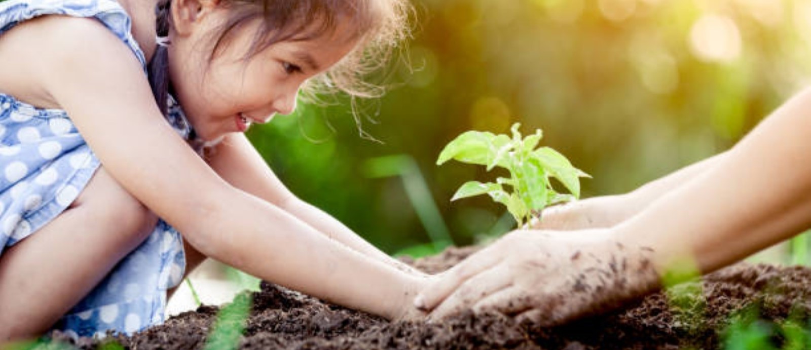 Planejamento Sustentável e Empreendedor